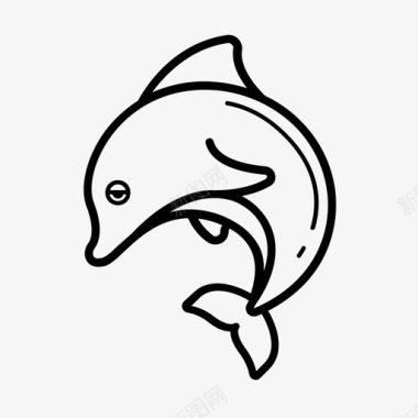 海豚大鱼海洋图标图标