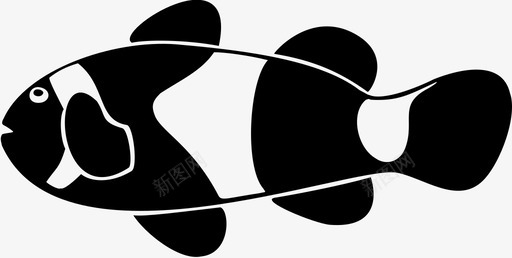 小丑鱼小丑鱼尼莫海洋图标图标