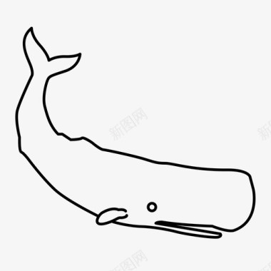 抹香鲸抹香鲸图标图标
