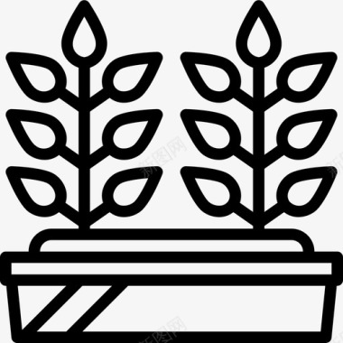 花坛园艺植物图标图标