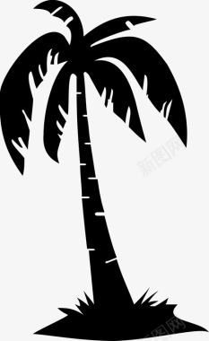 棕榈树海滩椰子树图标图标
