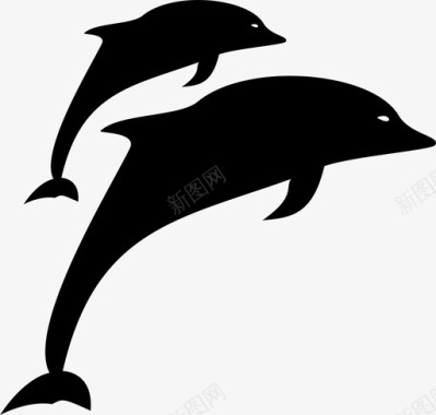 海豚海豚图标图标