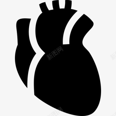 人的心脏心肌生物学图标图标
