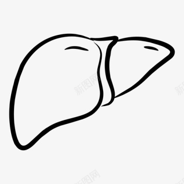 肝脏人体器官图标图标