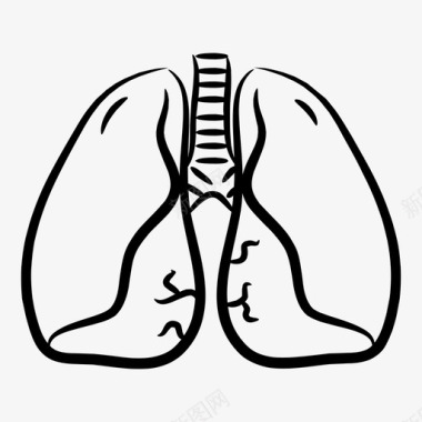 肺人体器官图标图标