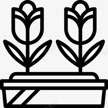 花坛园艺植物图标图标