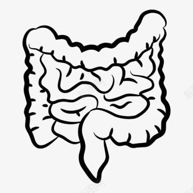 人体感应灯大肠人体器官图标图标