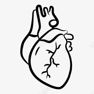心脏人体器官图标图标