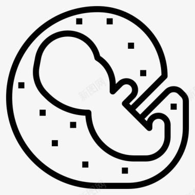 胚胎学婴儿胎儿图标图标
