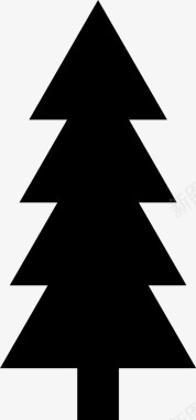 冷杉树圣诞树冷杉图标图标