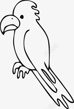 鹦鹉鸟手绘图标图标