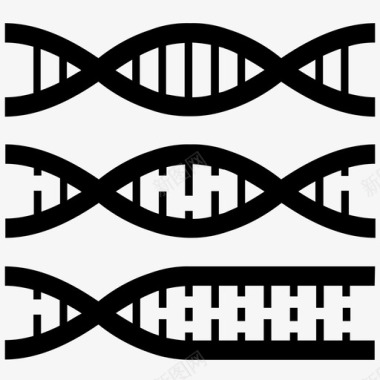 生物DNAdna分裂基因遗传学图标图标