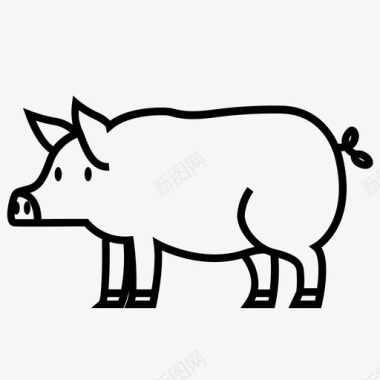 猪的身体猪图标图标