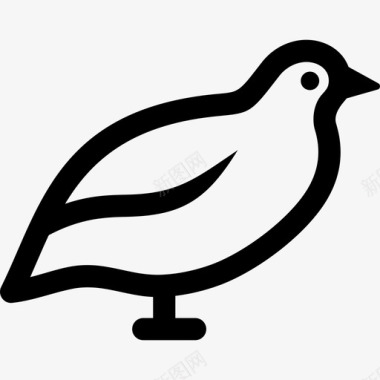 鹌鹑鸟蓝图标图标