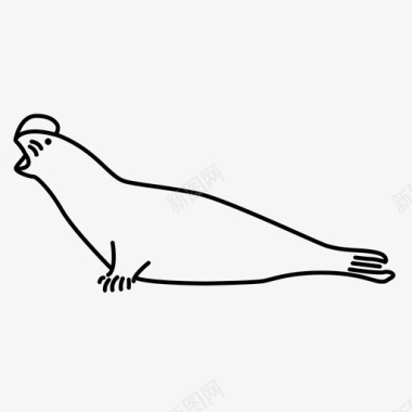 海豹海牛海狗图标图标