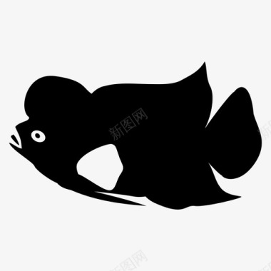 鱼金鱼装饰鱼图标图标