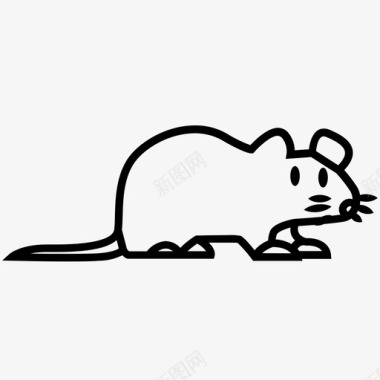 动物鼠体睡鼠家鼠图标图标