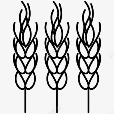 大麦农业食品图标图标