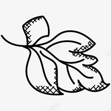 枫叶枫叶秋天的象征徽章图标图标
