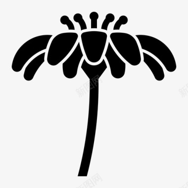 雏菊花朵纯真图标图标