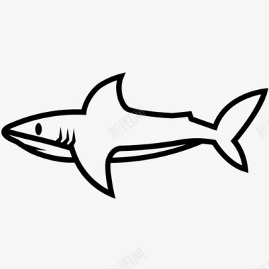 鲨鱼体锤头鲨虎鲨图标图标