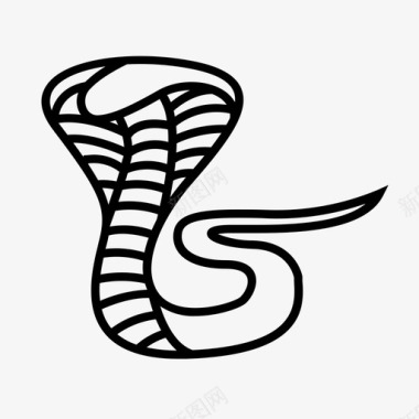 爬行动物眼镜蛇身体蛇眼镜蛇图标图标