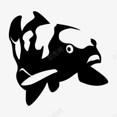 锦鲤鲤鱼淡水鱼图标图标
