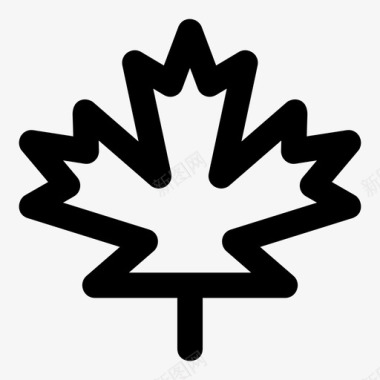 杉树枝叶树枝加拿大图标图标