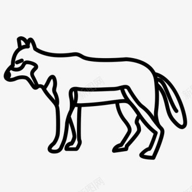 狼的身体食肉的灰狼图标图标
