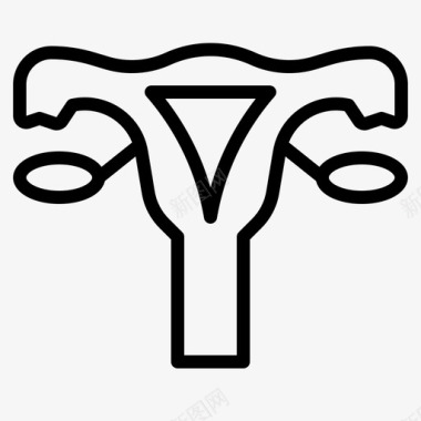 女性生殖系统女性生殖系统子宫颈卵巢图标图标