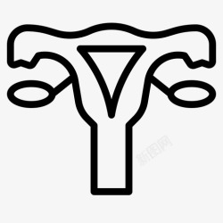 女性生殖系统女性生殖系统子宫颈卵巢图标高清图片
