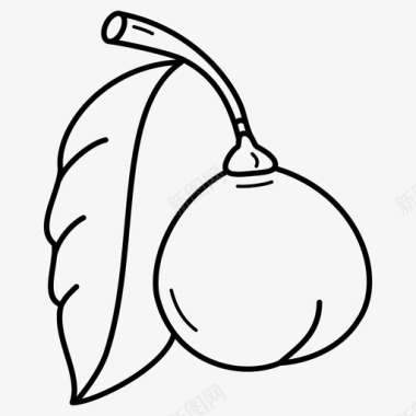 澳洲坚果植物图标图标