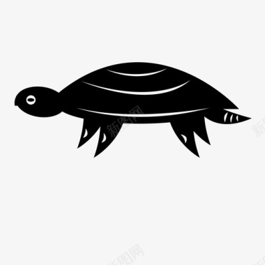 爬行动物海龟绿色爬行动物图标图标