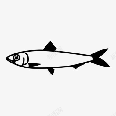 沙丁鱼鱼鲱鱼图标图标