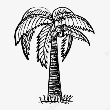 椰子树手绘图标图标