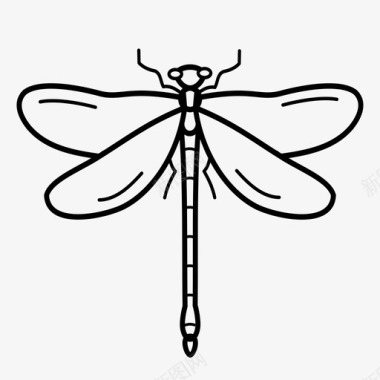 蜻蜓虫子翅膀图标图标