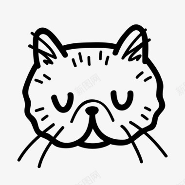 波斯猫小猫宠物图标图标