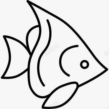 银天使鱼动物生态图标图标