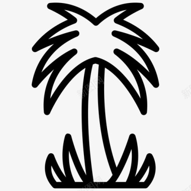 棕榈树槟榔科椰枣图标图标