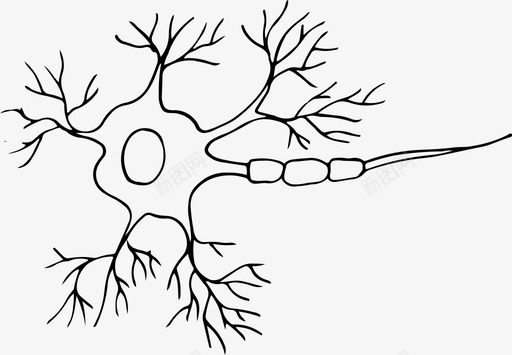 静脉神经神经元医院医学图标图标