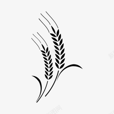 小麦大麦谷物图标图标