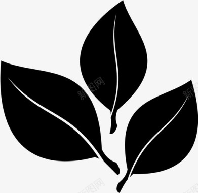 有机物合成图茶叶生态草药图标图标