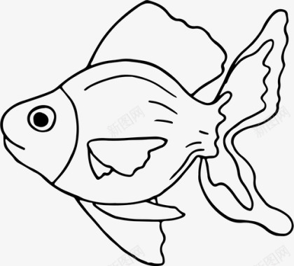 鱼海洋动物海图标图标