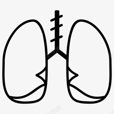 人的肺肺解剖学人图标图标