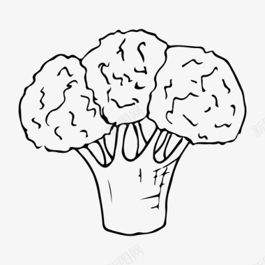 手绘线条蔬菜西兰花饮食食品图标图标