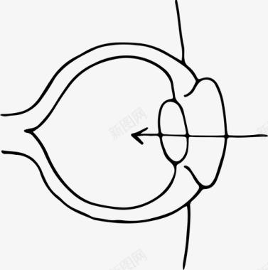 深色眼睛眼睛解剖学身体图标图标