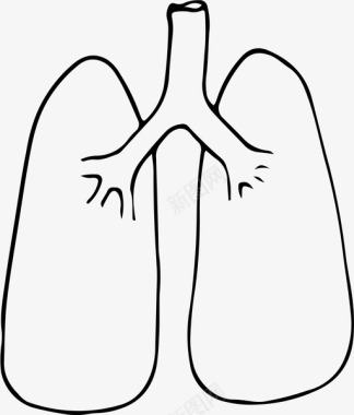 柔韧身体肺解剖学身体图标图标