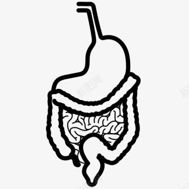 五花肉肠消化系统结肠消化图标图标