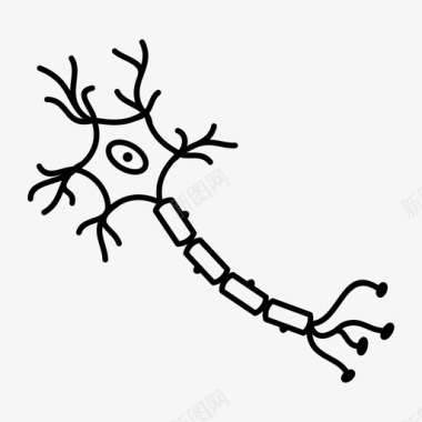 神经细胞轴突髓鞘图标图标