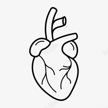 心脏器官心率人体解剖图标图标